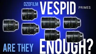 DZOFILM Vespid TORTURE QUESTION: Are they ENOUGH to shoot a Full Length Feature Film?