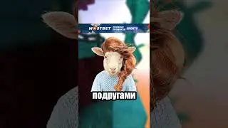 news 13