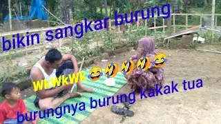 Bikin sangkar burung