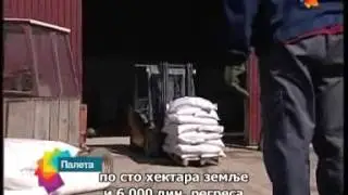 Paleta po ruski 5.2.2014. - Палета по руски 5.2.2014.