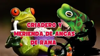 CRIADERO DE ANCAS DE RANA Y MERIENDA