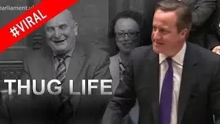 David Cameron Most memorable moments **THUG LIFE ALERT**