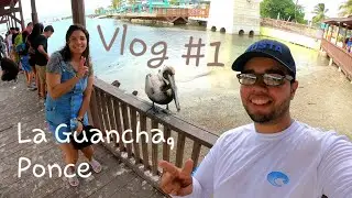 Sabalos Gigantes | La Guancha en Ponce | VloG #1 | Next Lure