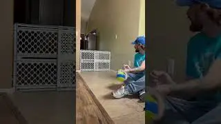 Dog Trick 🐶