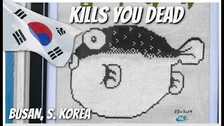 #MTBPlanB Five must do things besides dying in Busan, S. Korea.