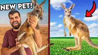 I ACCIDENTALLY Bought A BABY KANGAROO! *Animal AUCTION*