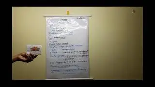 GRADE 11 | BOTANY | CHAP-6 PLASMA OR CELL MEMBRANE | 28-1-22 | 08:00am