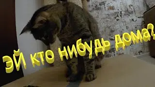 Эй кто нибудь дома?