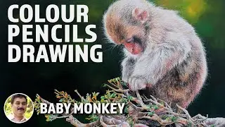 How to draw a baby Monkey | Mixed media | Muralidhar Suvarna