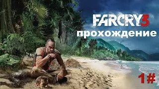Far Cry 3 прохождения