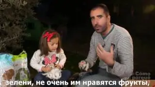 Кролики-почему это хорошо, если у вашего ребёнка есть животное?