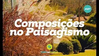 Dicas de composições no Paisagismo