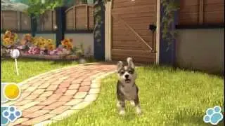 PlayStation Vita Pets Gameplay