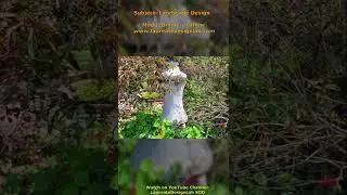Landscape Design (Laureate Design Lab)