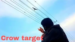 Crow target with slingshot // Kashi village vlog
