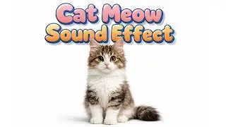 Cat Meow Sound Effect