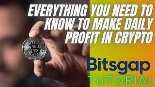 Crypto Trading Bot for Beginners: Everything you need to know about Bitsgap!