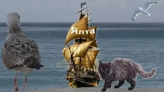 Ялта, 1 октября 2024 года
