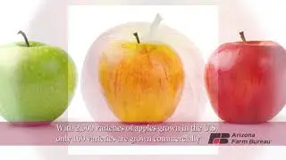 An Arizona Apple a Day ...