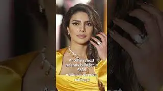 Here's How Citadel Star Priyanka Chopra Made Millions
