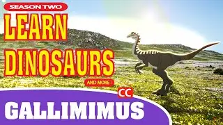 Dinosaurs Gallimimus