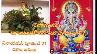 #వినాయకుని పూజించే 21రకాల పత్రాలు ఏవి?#వాటితో ఎందుకు పూజించాలి?