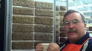 How To Choose Paint and Carpet Colors That Coordinate