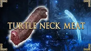 Elden Ring’s Horniest Meat