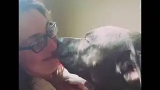 Girl Gets Some Kisses From Her Pitbull