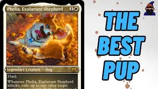 This Might Be BETTER Than Yorion
