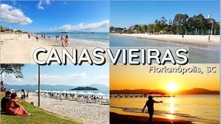 Tudo sobre CANASVIEIRAS: O GUIA MAIS COMPLETO (Assista esse vídeo antes de vir pra cá) - Floripa -SC