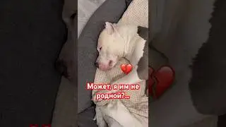 Может я им не родной ?💔😢 