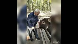 Спи спокойно, дедуля😞😞😞