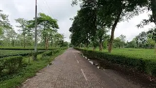 A Nostalgic Road Trip: Talap to Digboi I Tinsukia, Assam I 14th June 2023