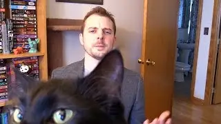 Cat Owner Interrupted During BBC Interview