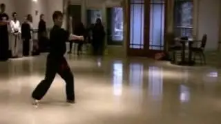 Tiger and Crane Form (Black Dragon Kung Fu Version) - Jamie Seabrook