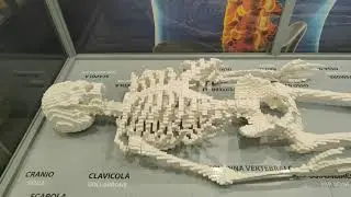 LEGO -   SCHELETRO - human skeleton