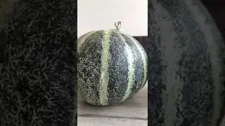 Узбекские дыни и арбузы 