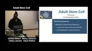 Adult Stem Cell