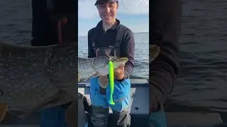 Зачем мы отпускаем рыбу!?