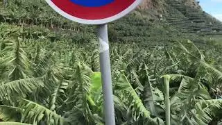 RB2, Rota Da Banana, Verada Do Mateiro, Madalena Do Mar, Madeira, Portugal