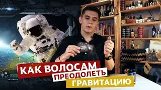 Пудра для мужской укладки. Космический объем. Как определить жирность кожи головы.