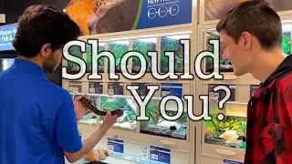 Should YOU Work at a Pet Store?