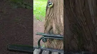 Свистнула!