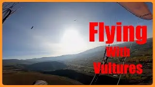 Paragliding and Vultures, uncut video.