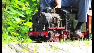 Dampfmodellclub der Schweiz 2024