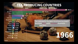 Top 15 Tea Producing Countries + Interesting Facts About Tea