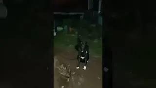 Когда кушать хочется.