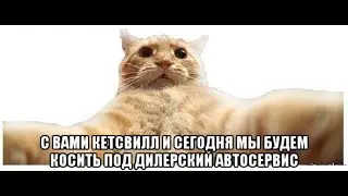 Смотрим видео King dm.
