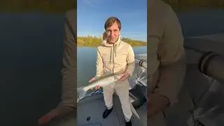 30 сентября 2024 г.